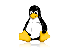 Computer Service in Naples FL:Linux O/S